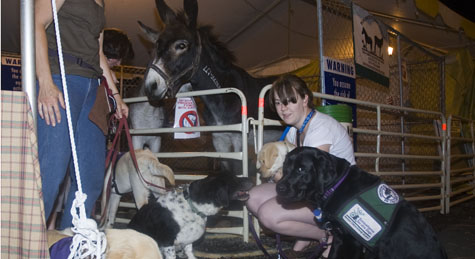 2011 Northeast Fair_062211_0023.JPG